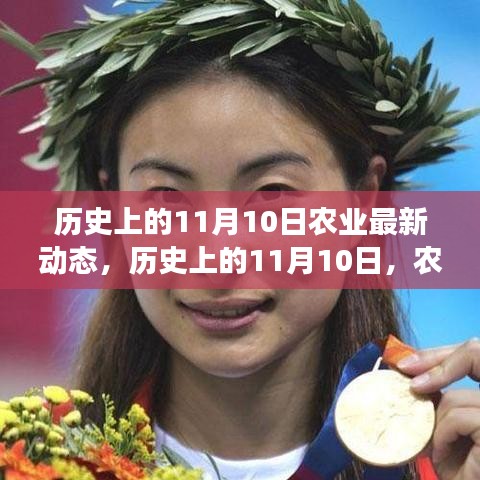 歷史上的11月10日農(nóng)業(yè)之旅，探尋自然美景，開(kāi)啟內(nèi)心平靜的力量新篇章