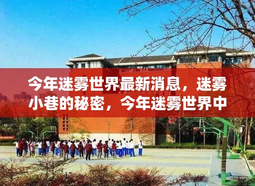 揭秘迷霧世界，迷霧小巷的秘密與今年隱藏瑰寶新發(fā)現(xiàn)