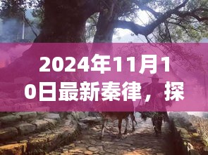 探秘秦律秘境，隱藏版特色小店的非凡故事（最新秦律揭秘）