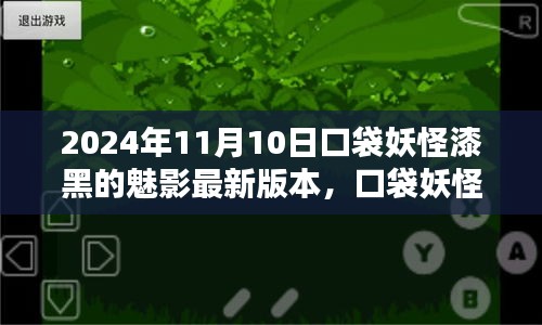 口袋妖怪漆黑的魅影，最新版本的探索與影響