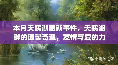 本月天鵝湖畔的溫馨奇遇，友情與愛(ài)的力量的展現(xiàn)