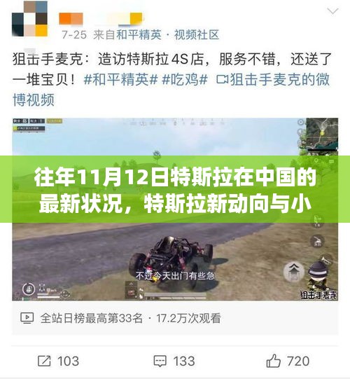 特斯拉中國(guó)最新動(dòng)態(tài)揭秘，新進(jìn)展與小巷深處的獨(dú)特體驗(yàn)