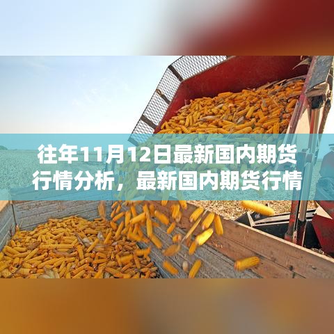 最新國內期貨行情分析指南，針對初學者與進階用戶的期貨行情步驟解析（往年11月12日版）