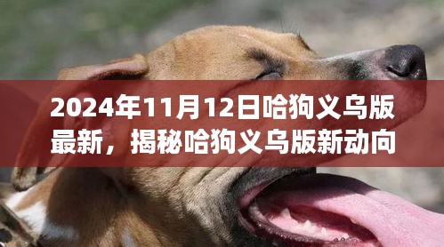 揭秘哈狗義烏版新動向，深度解讀與最新動態(tài)（2024年11月12日）