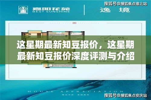 最新知豆報(bào)價(jià)及深度評測介紹