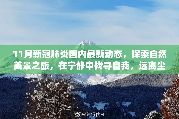 11月新冠肺炎國內(nèi)最新動(dòng)態(tài)，探索自然美景，寧靜中找尋自我，迎接抗疫新篇章的旅行體驗(yàn)