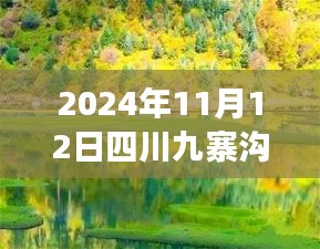 2024年11月12日四川九寨溝最新情況，自然恢復與旅游新篇章開啟