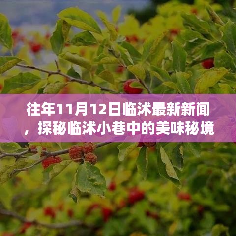探秘臨沭小巷美味秘境，11月12日臨沭最新新聞中的隱藏美食店揭秘