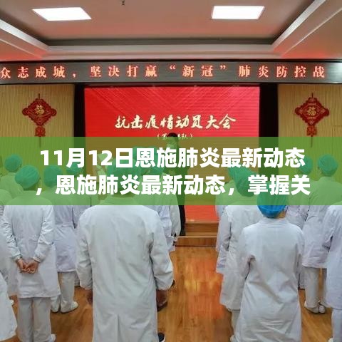 11月12日恩施肺炎最新動態(tài)更新，掌握關(guān)鍵信息的步驟指南