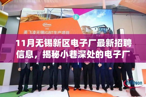 揭秘?zé)o錫新區(qū)電子廠招聘信息，小巷深處的人才寶庫(kù)探秘之旅