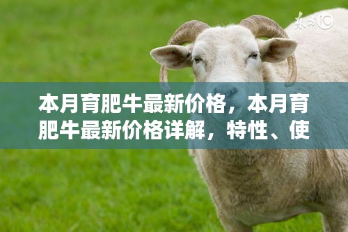 本月育肥牛價(jià)格詳解，特性、體驗(yàn)、競(jìng)品對(duì)比及用戶(hù)群體分析