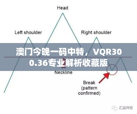 澳門今晚一碼中特，VQR300.36專業(yè)解析收藏版
