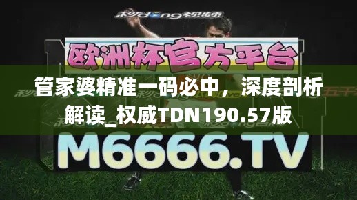 管家婆精準一碼必中，深度剖析解讀_權威TDN190.57版