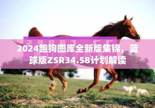 2024跑狗圖庫全新版集錦，藍(lán)球版ZSR34.58計劃解讀