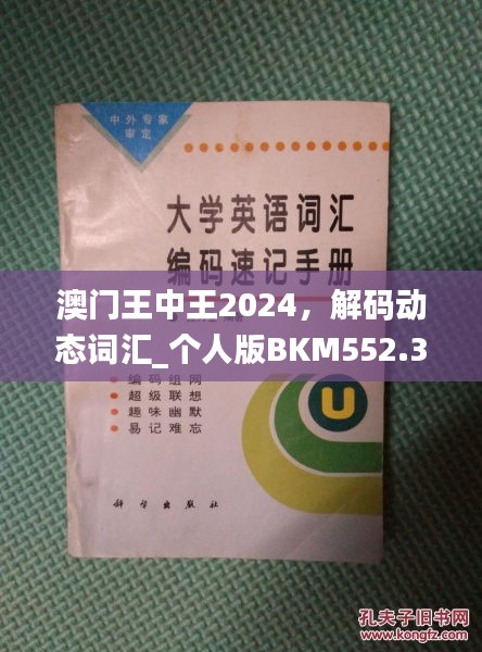 澳門王中王2024，解碼動態(tài)詞匯_個人版BKM552.33指南
