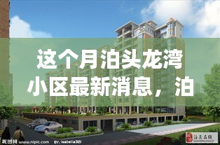 泊頭龍灣小區(qū)本月新鮮事，鄰里溫情與歡樂日常