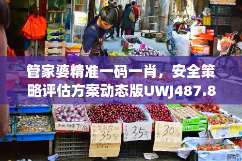 管家婆精準(zhǔn)一碼一肖，安全策略評估方案動態(tài)版UWJ487.85