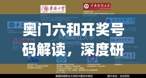 奧門六和開獎(jiǎng)號(hào)碼解讀，深度研究揭示內(nèi)幕_百天境KMS364.98