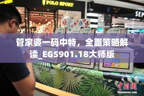 管家婆一碼中特，全面策略解讀_EGS901.18大師版
