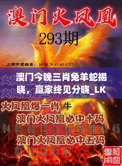 澳門(mén)今晚三肖兔羊蛇揭曉，贏家終見(jiàn)分曉_LKY656.61國(guó)際版