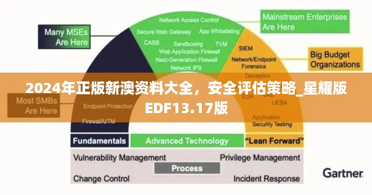 2024年正版新澳資料大全，安全評(píng)估策略_星耀版EDF13.17版