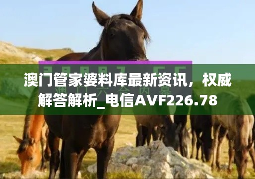 澳門管家婆料庫最新資訊，權威解答解析_電信AVF226.78