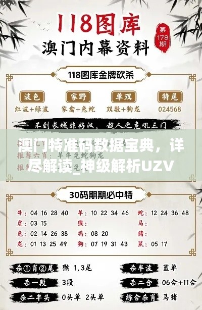 澳門特準(zhǔn)碼數(shù)據(jù)寶典，詳盡解讀_神級(jí)解析UZV444.11