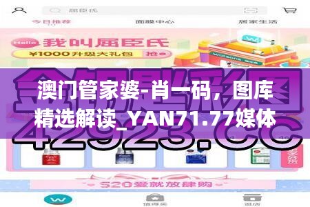 澳門管家婆-肖一碼，圖庫精選解讀_YAN71.77媒體版