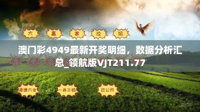 澳門彩4949最新開獎(jiǎng)明細(xì)，數(shù)據(jù)分析匯總_領(lǐng)航版VJT211.77