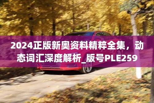 2024正版新奧資料精粹全集，動態(tài)詞匯深度解析_版號PLE259.74