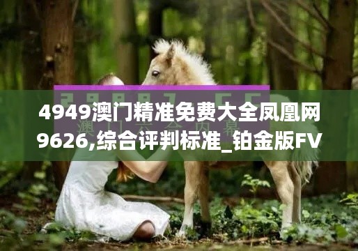 4949澳門精準免費大全鳳凰網9626,綜合評判標準_鉑金版FVJ173.28