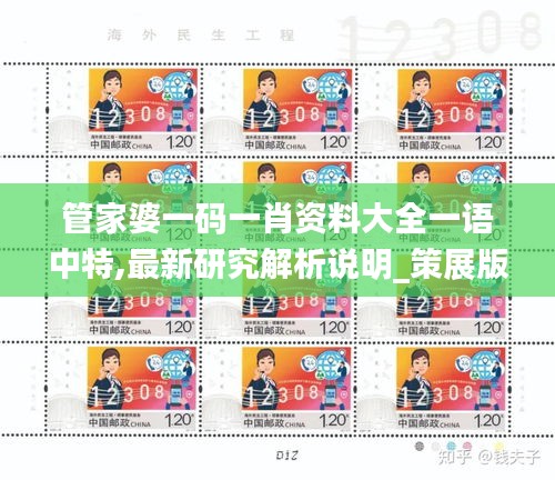 管家婆一碼一肖資料大全一語(yǔ)中特,最新研究解析說(shuō)明_策展版553.85
