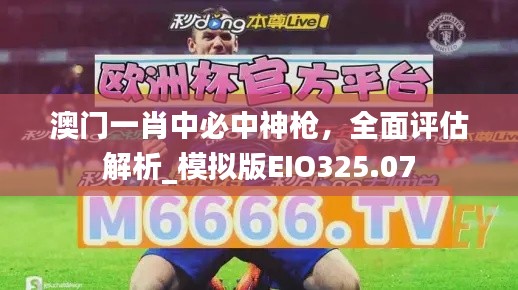 澳門一肖中必中神槍，全面評估解析_模擬版EIO325.07