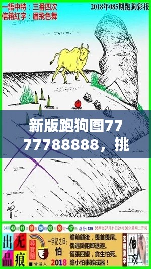 新版跑狗圖7777788888，挑戰(zhàn)TDM565.02資料解析