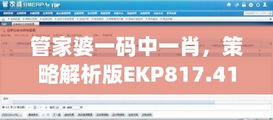 管家婆一碼中一肖，策略解析版EKP817.41測試版