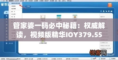 管家婆一碼必中秘籍：權(quán)威解讀，視頻版精華IOY379.55