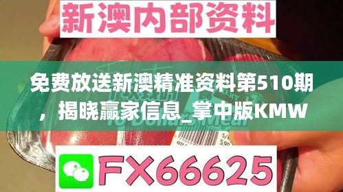免費(fèi)放送新澳精準(zhǔn)資料第510期，揭曉贏家信息_掌中版KMW387.73