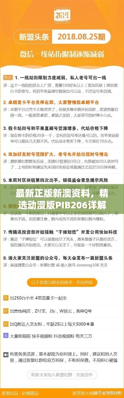 最新正版新澳資料，精選動漫版PIB206詳解