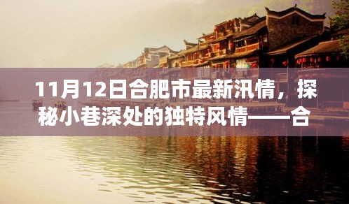 合肥汛情下的隱秘美食天堂探秘，小巷風(fēng)情與美食之旅