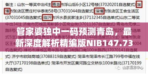 管家婆獨中一碼預測青島，最新深度解析精編版NIB147.73