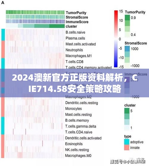 2024澳新官方正版資料解析，CIE714.58安全策略攻略