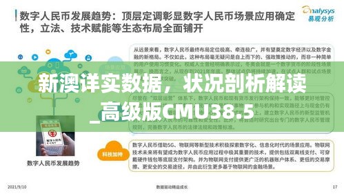 新澳詳實(shí)數(shù)據(jù)，狀況剖析解讀_高級(jí)版CMU38.5