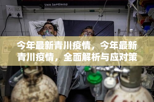 今年最新青川疫情全面解析與應(yīng)對(duì)策略，全面關(guān)注，科學(xué)防控