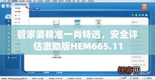 管家婆精準(zhǔn)一肖特選，安全評(píng)估激勵(lì)版HEM665.11