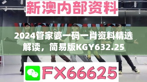 2024管家婆一碼一肖資料精選解讀，簡易版KGY632.25