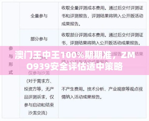 澳門王中王100%期期準(zhǔn)，ZMO939安全評(píng)估適中策略