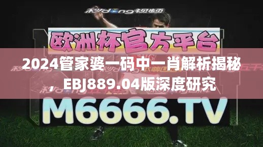2024管家婆一碼中一肖解析揭秘，EBJ889.04版深度研究