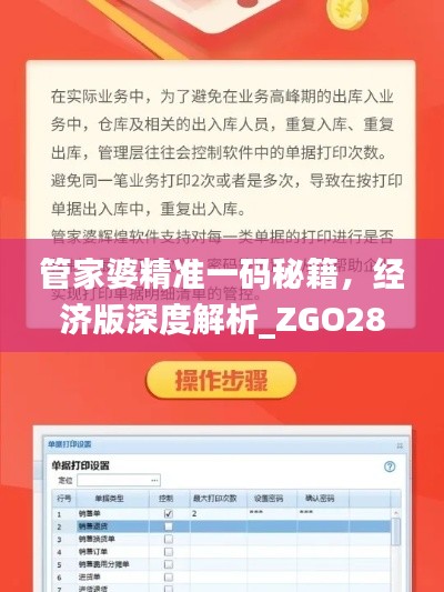 管家婆精準(zhǔn)一碼秘籍，經(jīng)濟(jì)版深度解析_ZGO289.56