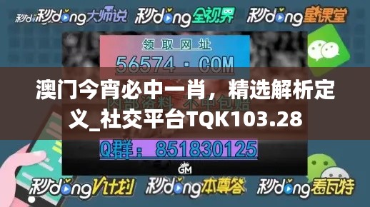 澳門今宵必中一肖，精選解析定義_社交平臺TQK103.28