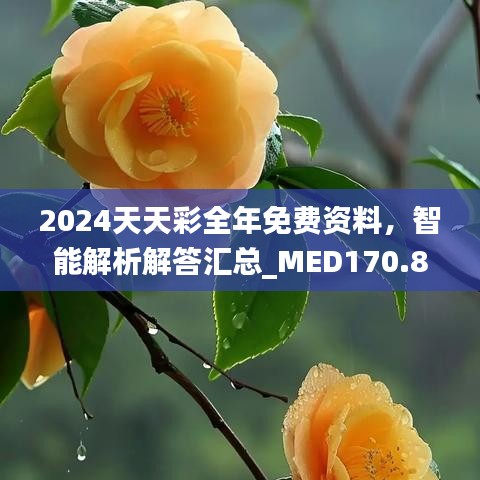 2024天天彩全年免費資料，智能解析解答匯總_MED170.88版